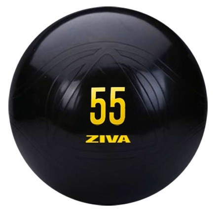 Performance Core-Fit Ball ZIVA Performance